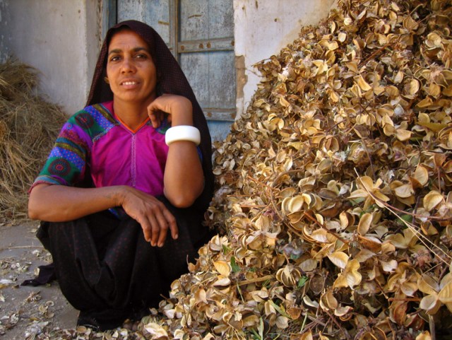 2292423963_9b28068cba_o